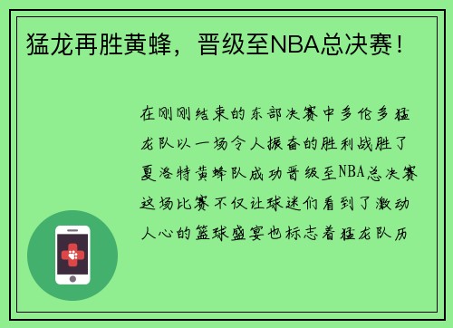猛龙再胜黄蜂，晋级至NBA总决赛！